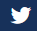 Twitter Logo